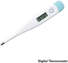 Digital Thermometer (Can Read Fahrenheit)