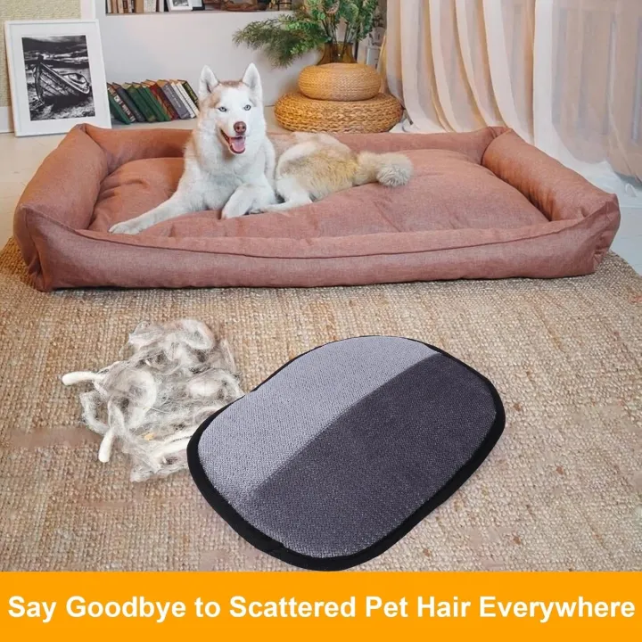 Electrostatic Pet Hair Remover Gloves – Dog & Cat Hair Cleaning Tool for Sofa, Clothes, Car & Furniture - Image 7