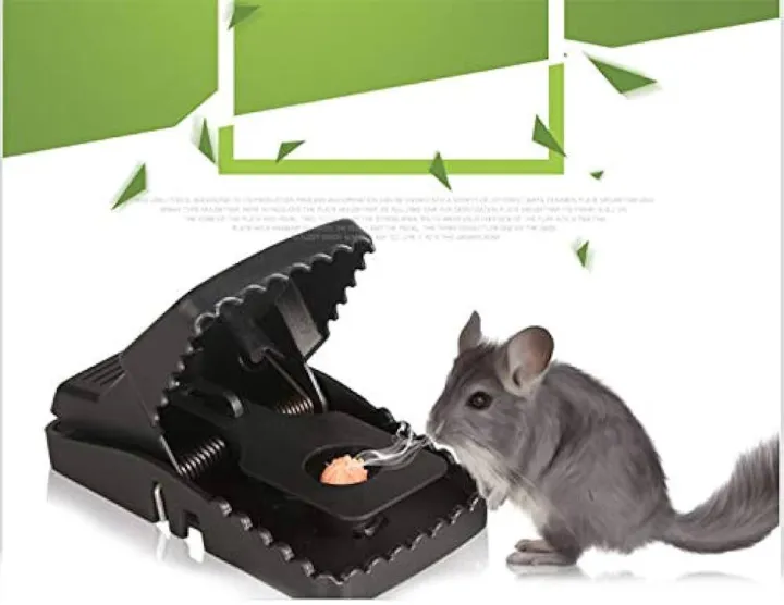 Premium Quality Mouse Traps Indoor Rat Trap