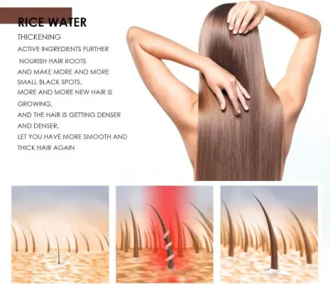 Rice Water Hair Care Shampoo – Hair Fall Control, Dandruff Removal, Volume Boost, Regrowth & Thickening Formula - Image 4