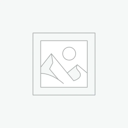 Automotive Accessories
